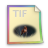 TIFF File Icon